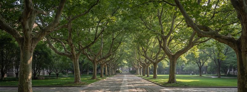 campus_19